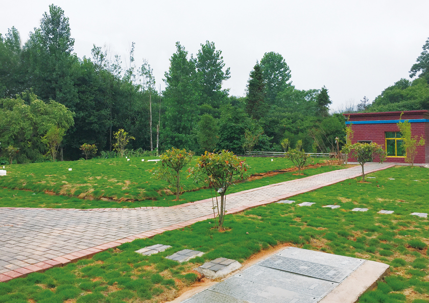 全南縣龍下鄉(xiāng)生活污水處理站(200噸)